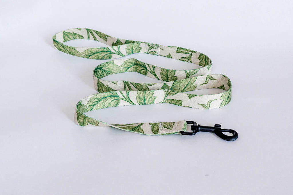 Off the Vine Dog Leash