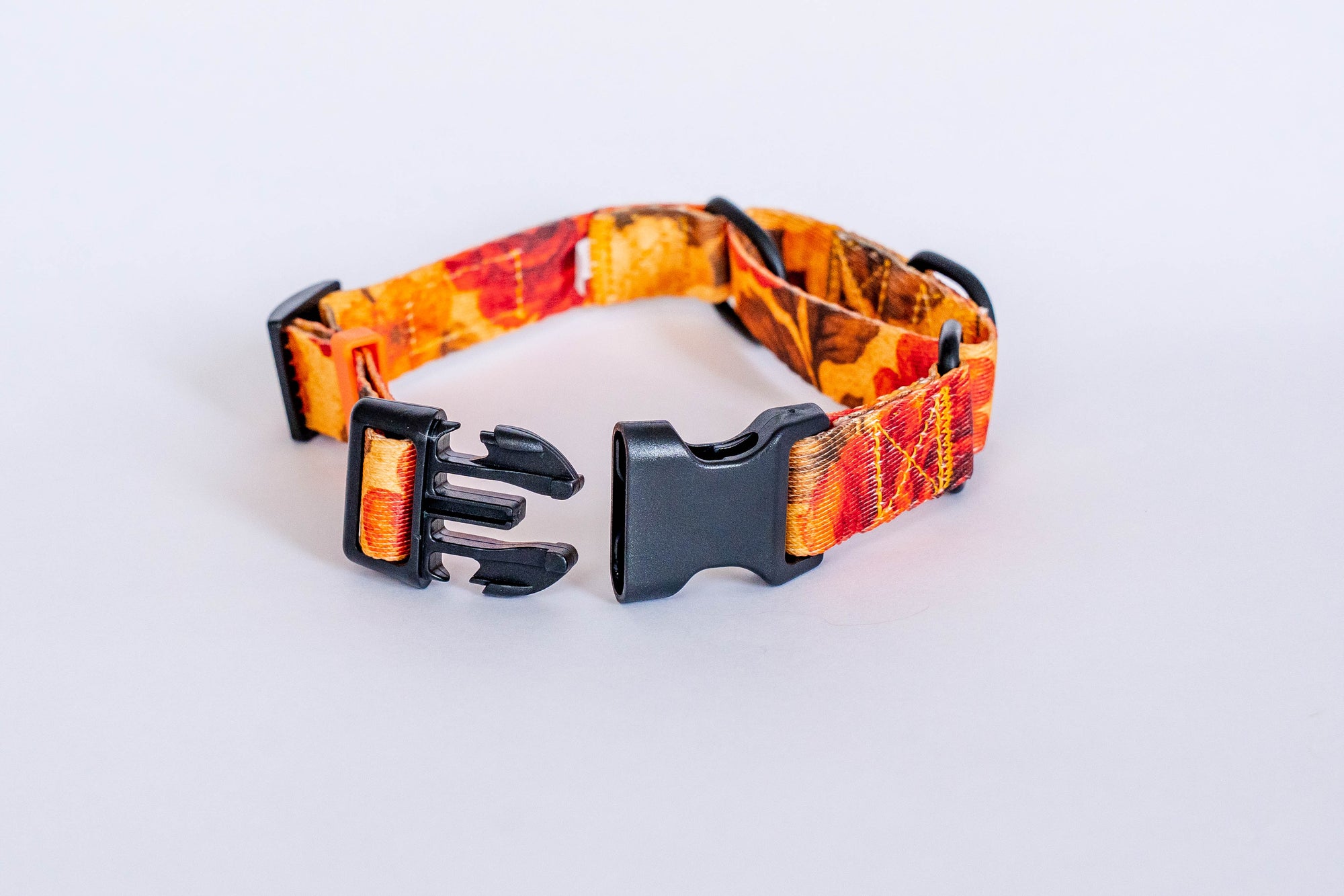 Santa Rosa Martingale Dog Collar