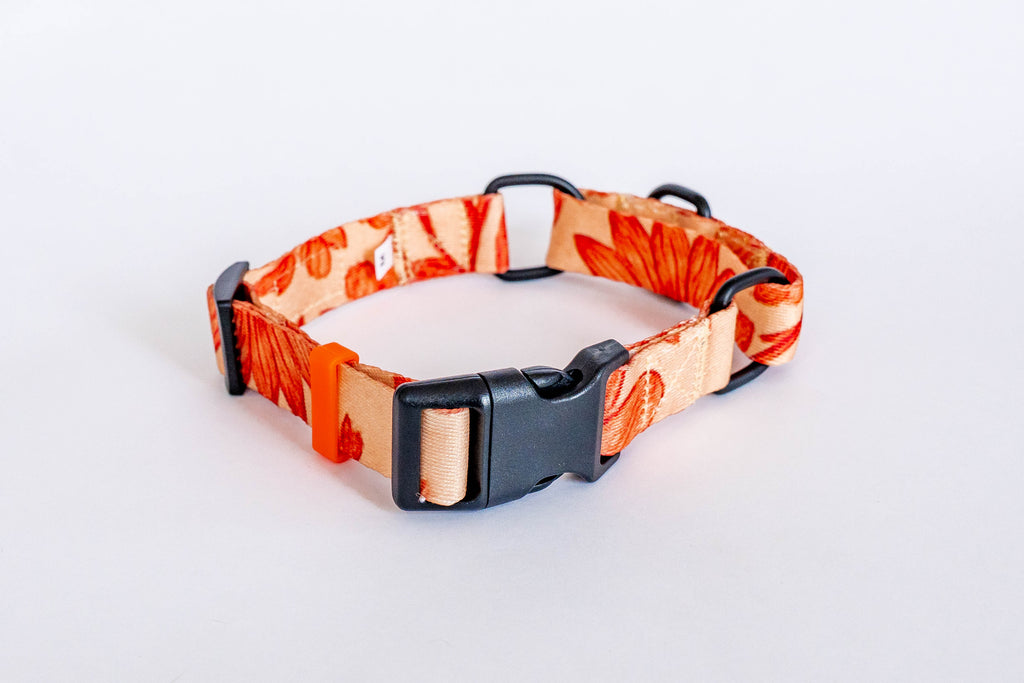 Merlot Martingale Dog Collar