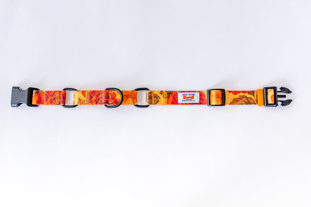 PYT Martingale Dog Collar