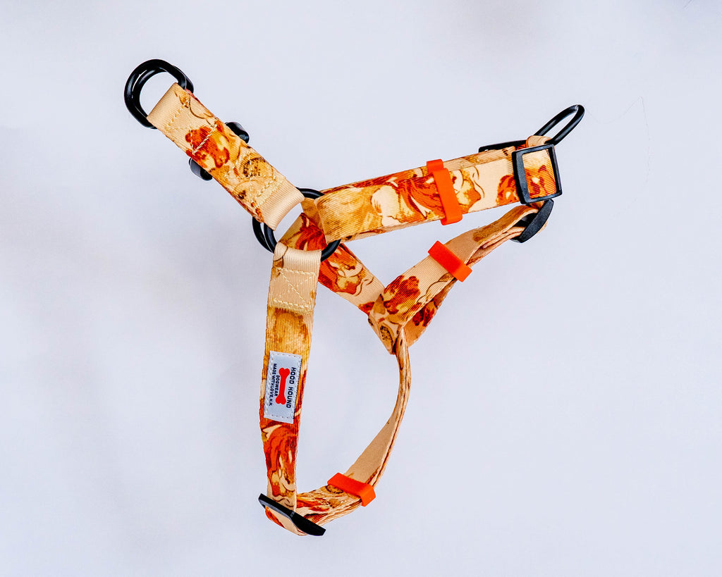 Indigo Honey No-Pull Dog Harness