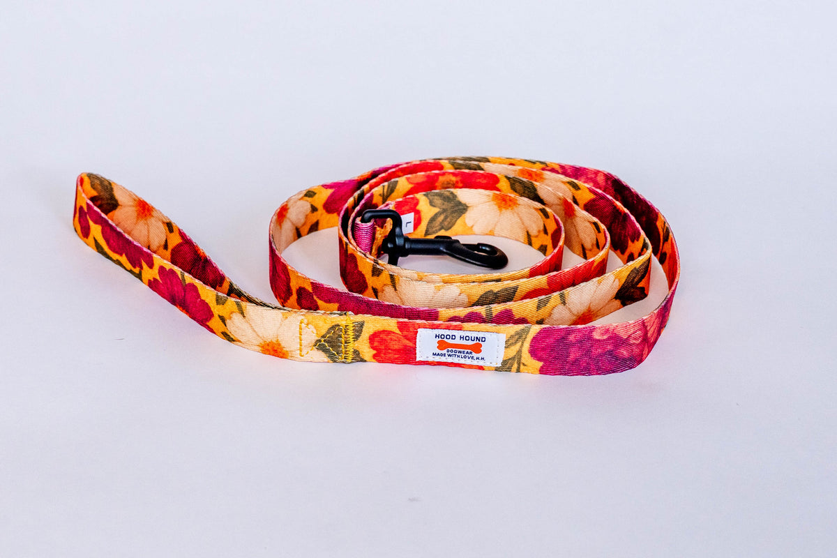 PYT Dog Leash