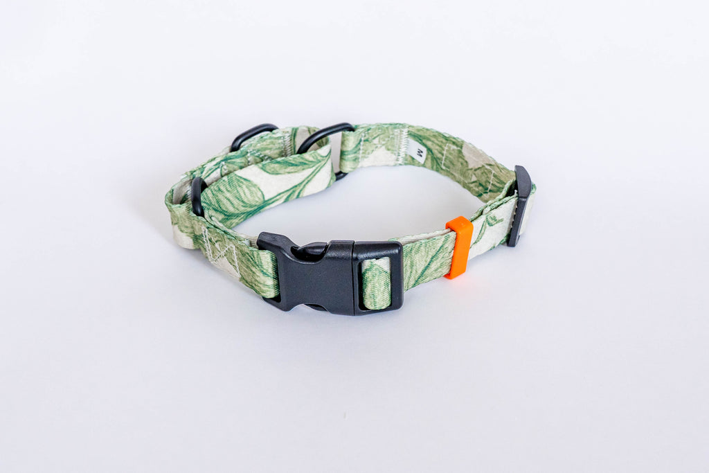 Off the Vine Martinglae Dog Collar