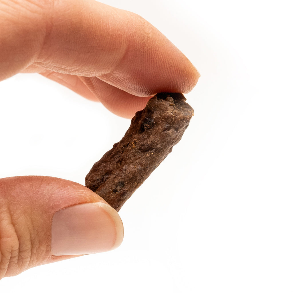 Hand holding a single HoodHound Beef Bites dog treat - bite-sized reward for training and positive reinforcement
