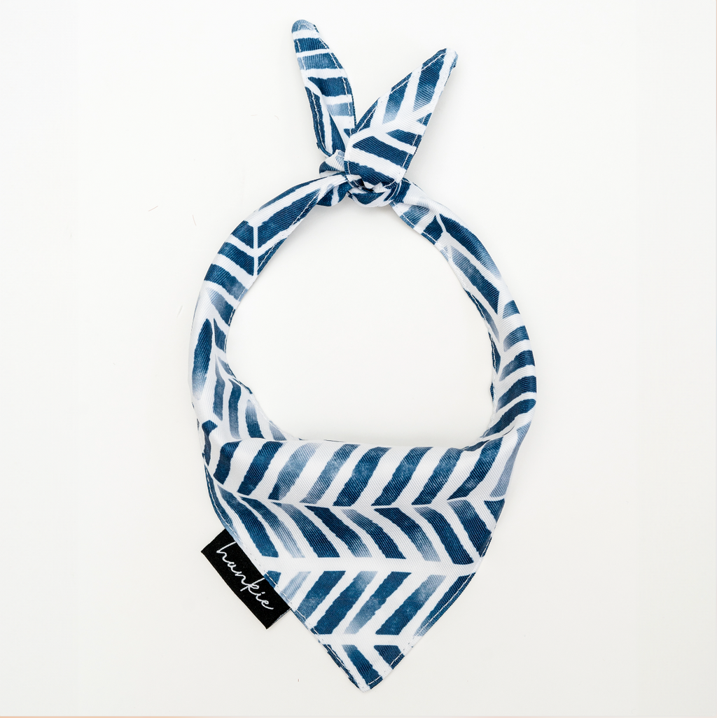 Better Looking Twin Dog Bandana – Hankie Series
