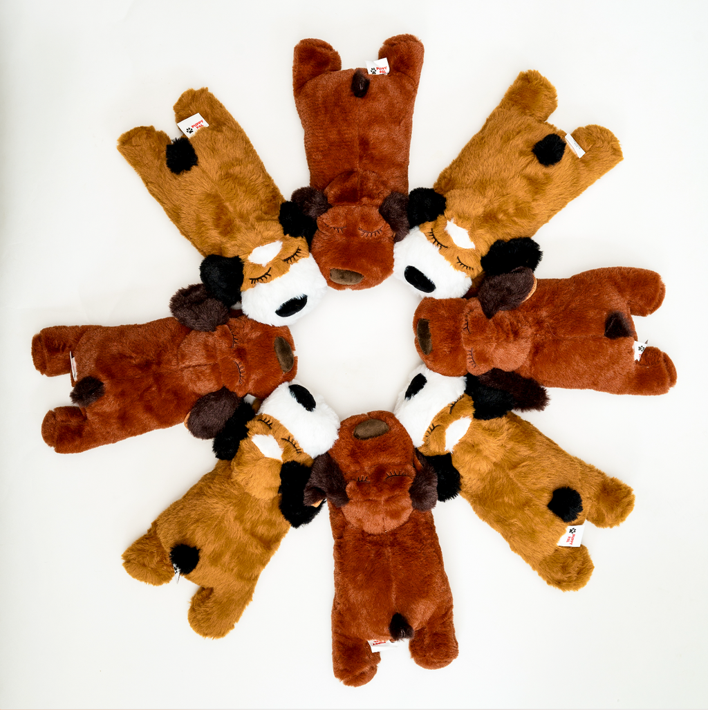 A circle arrangement of plush brown dog toys shaped like cartoon-style puppies, displayed on a white background for a playful product showcase.