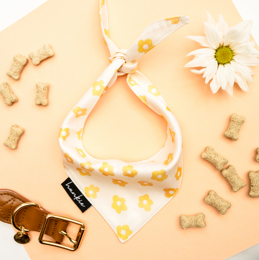 Daisy Dukes Dog Bandana – Hankie Series