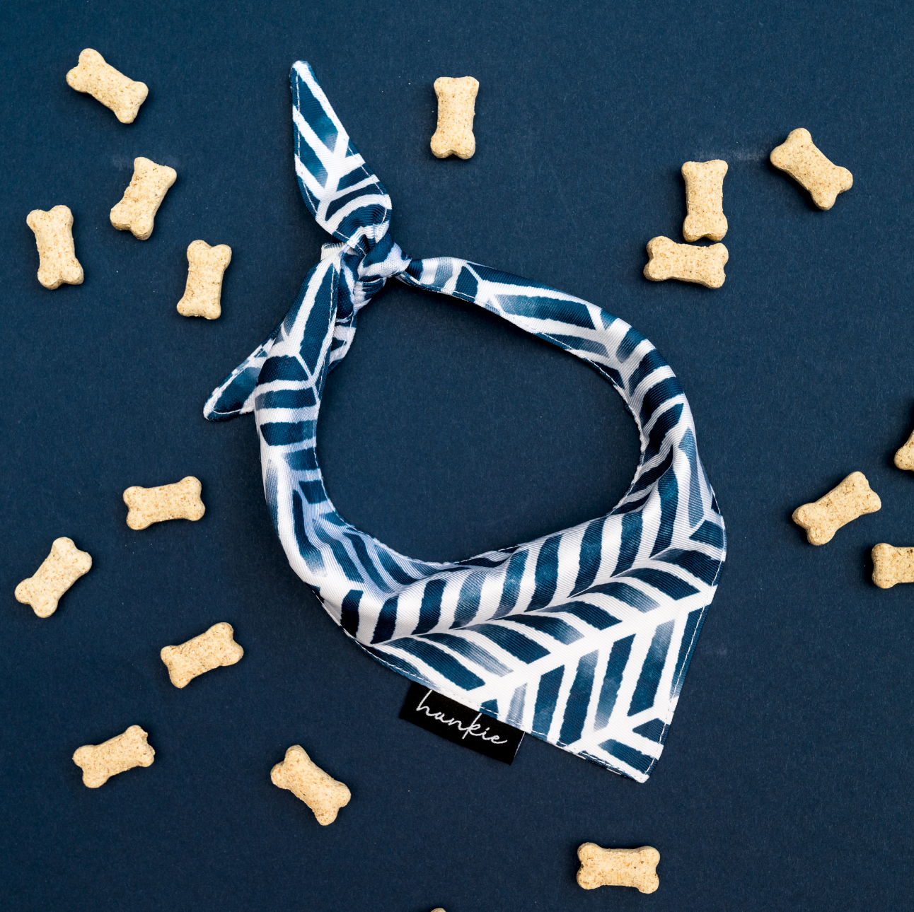 Better Looking Twin Dog Bandana – Hankie Series