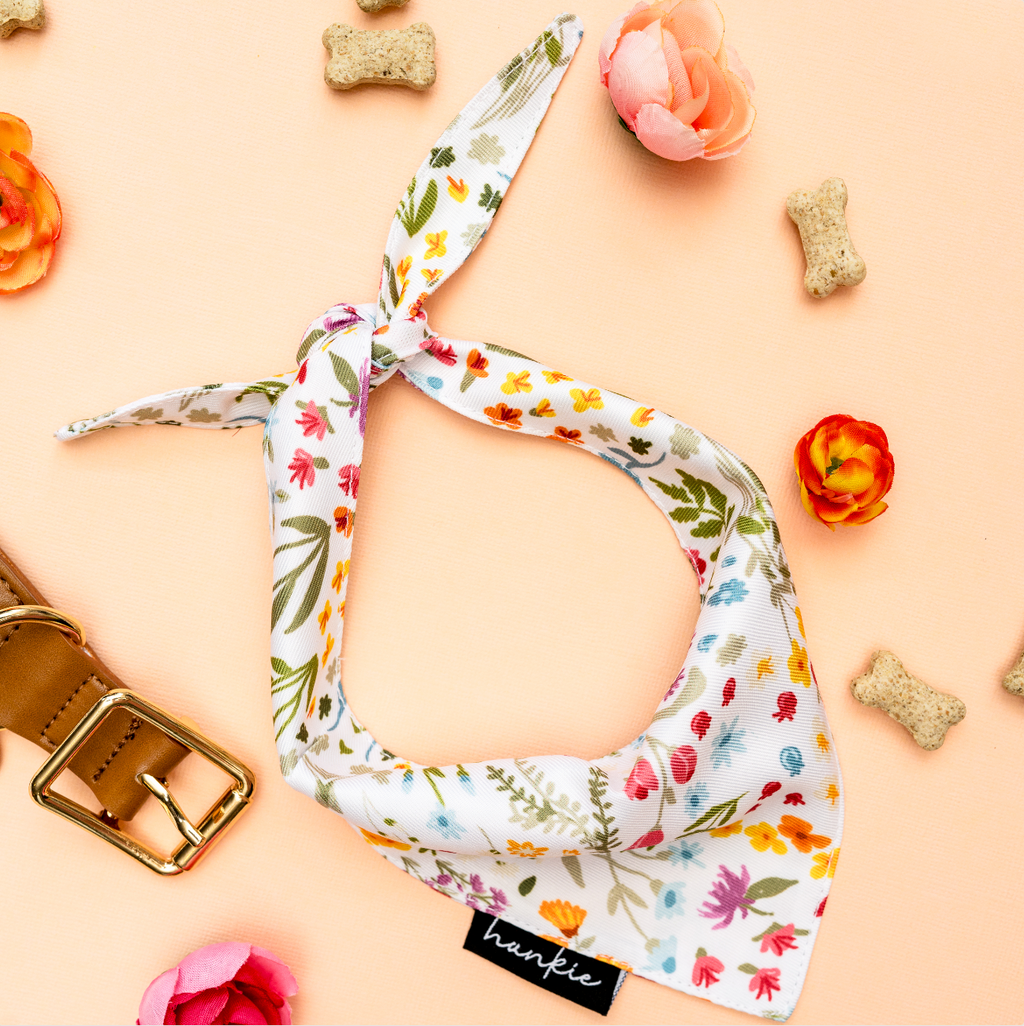 Cake By The Ocean Dog Bandana – Hankie Series